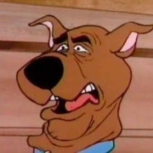 Meet your Posher, Samhita